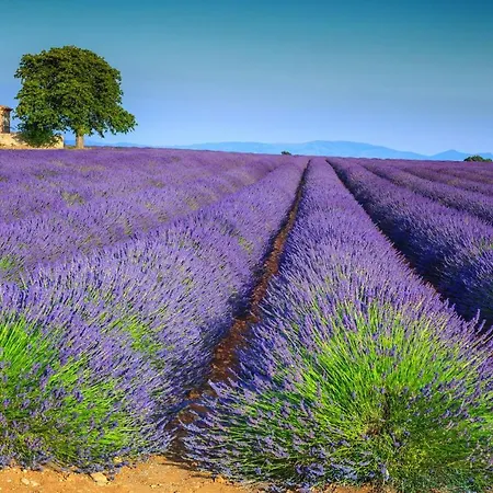 Charmante Maison De Village En Provence Tatil Evi Peipin